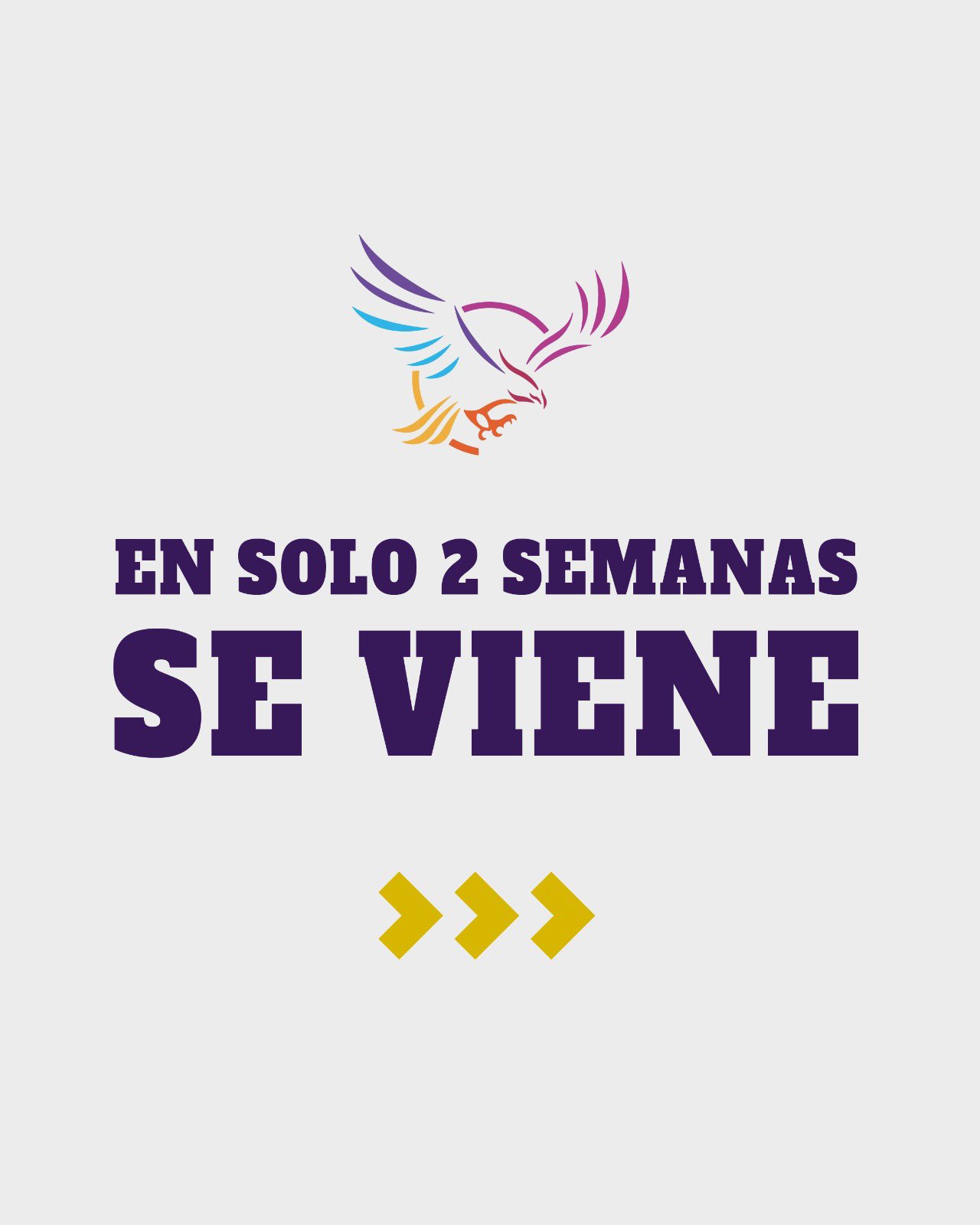 Vista previa