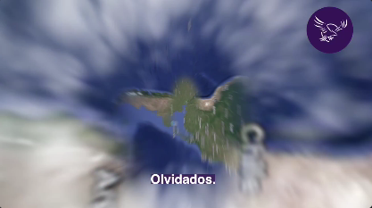 Vista previa